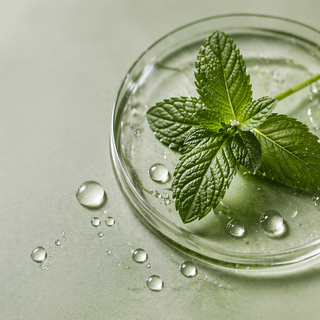 Extrait de Menthe Poivrée